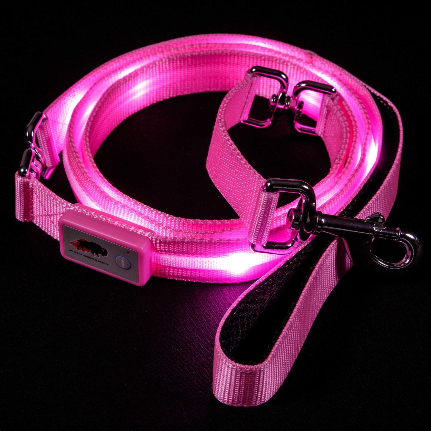 Blazin Safety LED Dog Leash USB Rechargeable Flashing Light - Pet Supplies online store