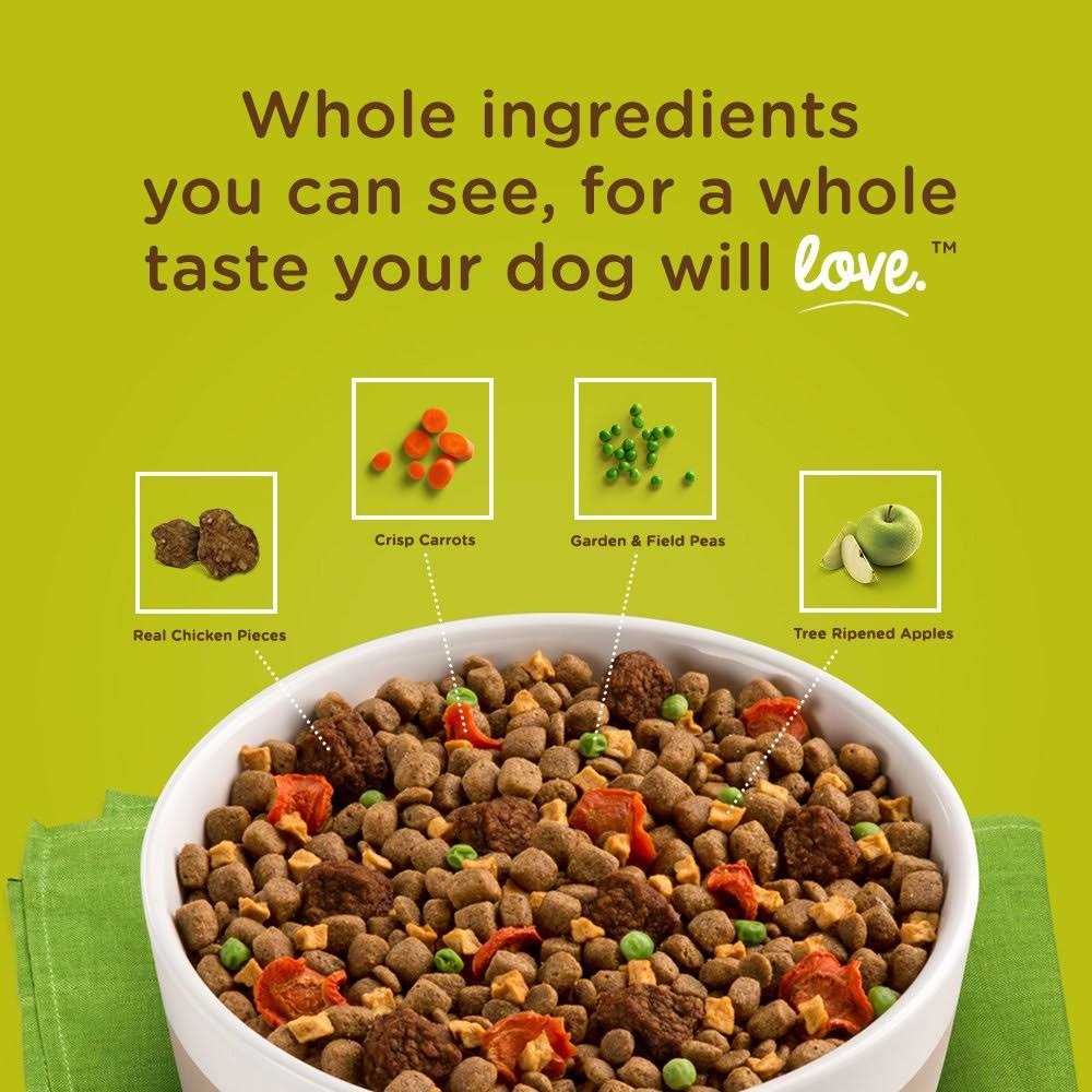 Rachael Ray Nutrish Dish Brown Rice Dog Food - Pet Supplies online store
