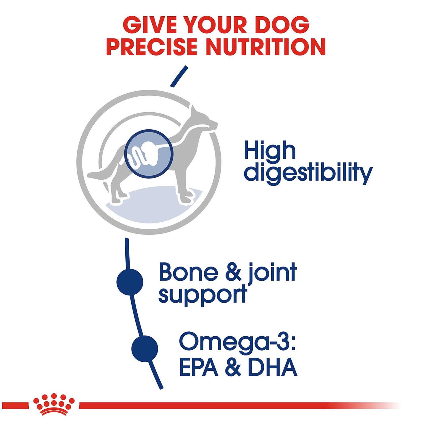 Royal Canin Large Breed Adult Dog Dry Food - Pet Supplies online store