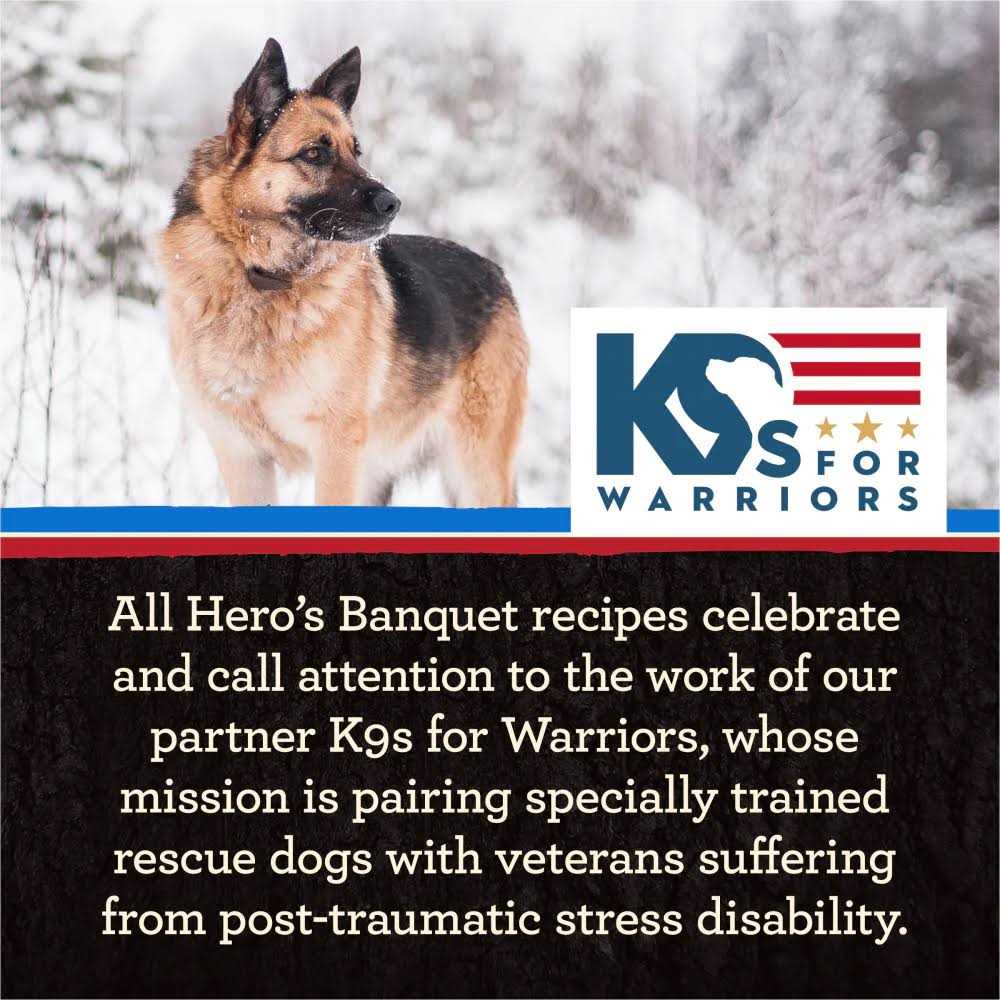 Merrick Backcountry Grain Free Raw Infused Recipe Dry Dog Food - Pet Supplies online store