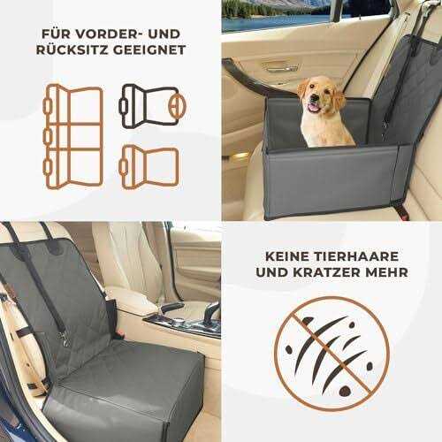 Wuglo Extra Stable Dog car Seat Robust car Dog Seat or Puppy car Seat for Small to Medium-Sized Dogs - Pet Supplies online store