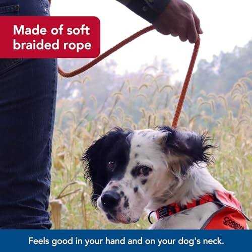 Water & Woods Braided Rope Dog Slip Leash - Pet Supplies online store