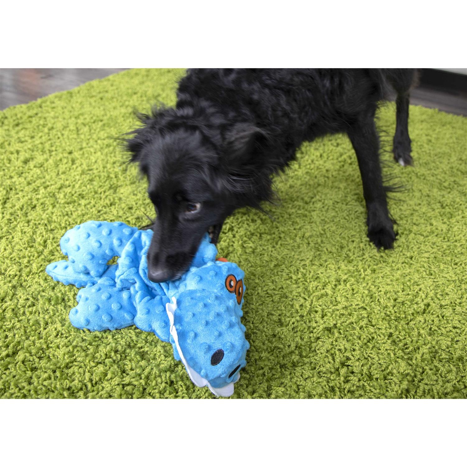 goDog Chew Guard Dog Toy - Pet Supplies online store