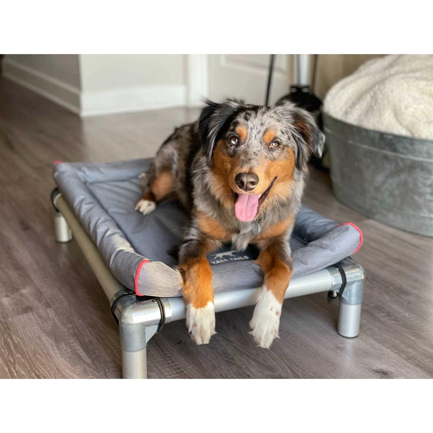 Tall Tails Dream Chaser Crate Dog Bed - Pet Supplies online store