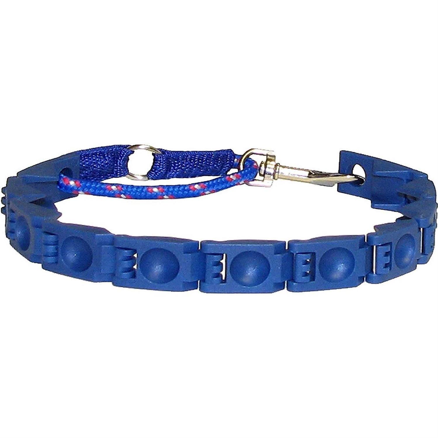 The Perfect Dog Command Training Dog Collar, Medium/Large - Pet Supplies online store