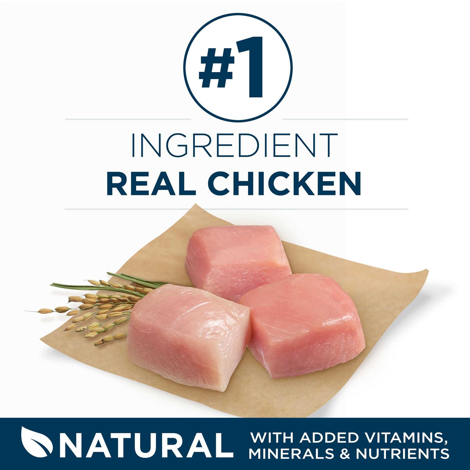 Purina ONE SmartBlend Large Breed Adult Dry Dog Food - Pet Supplies online store