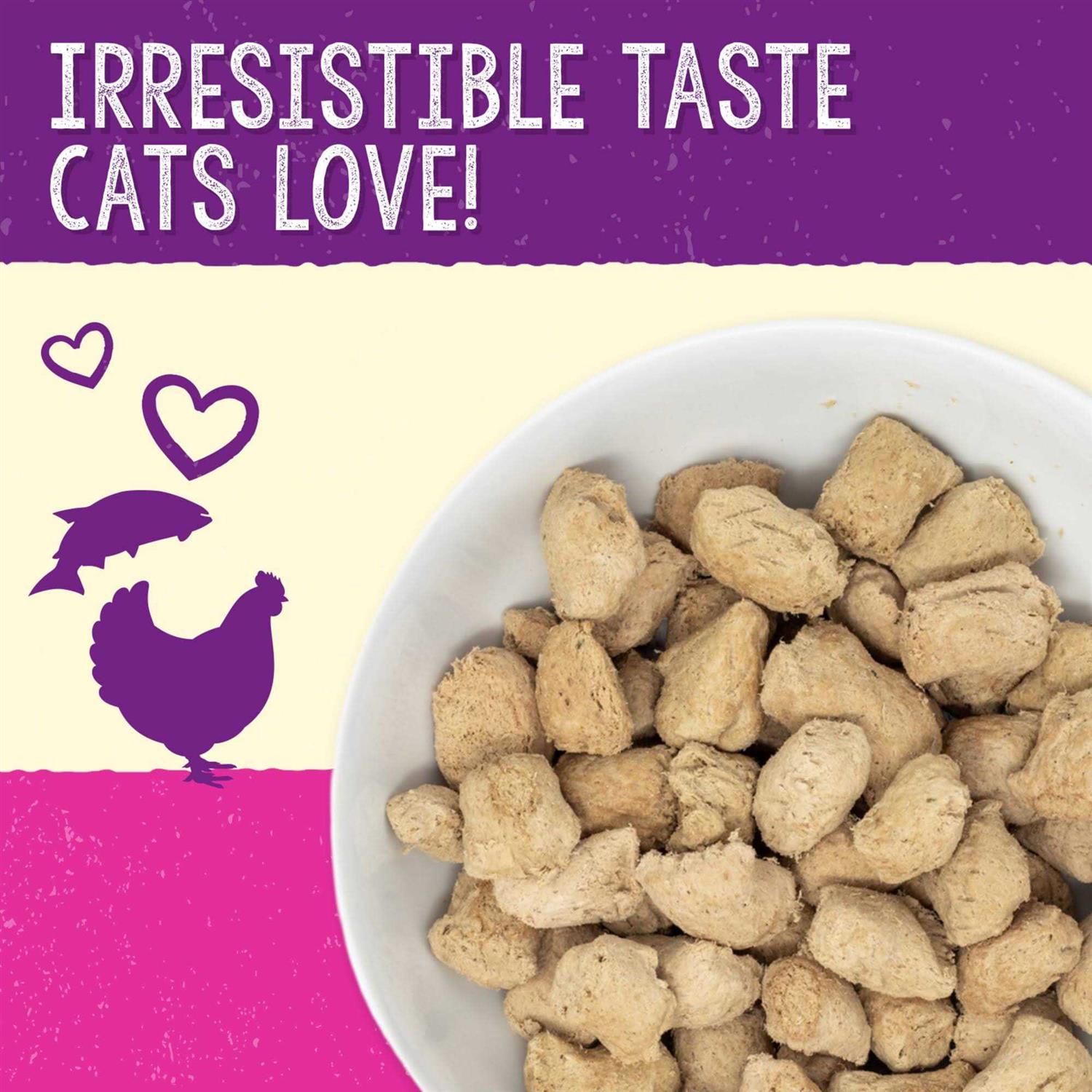 Stella & Chewy's Dinner Yummy Lickin' Salmon Chicken Freeze-Dried Cat Food - Pet Supplies online store