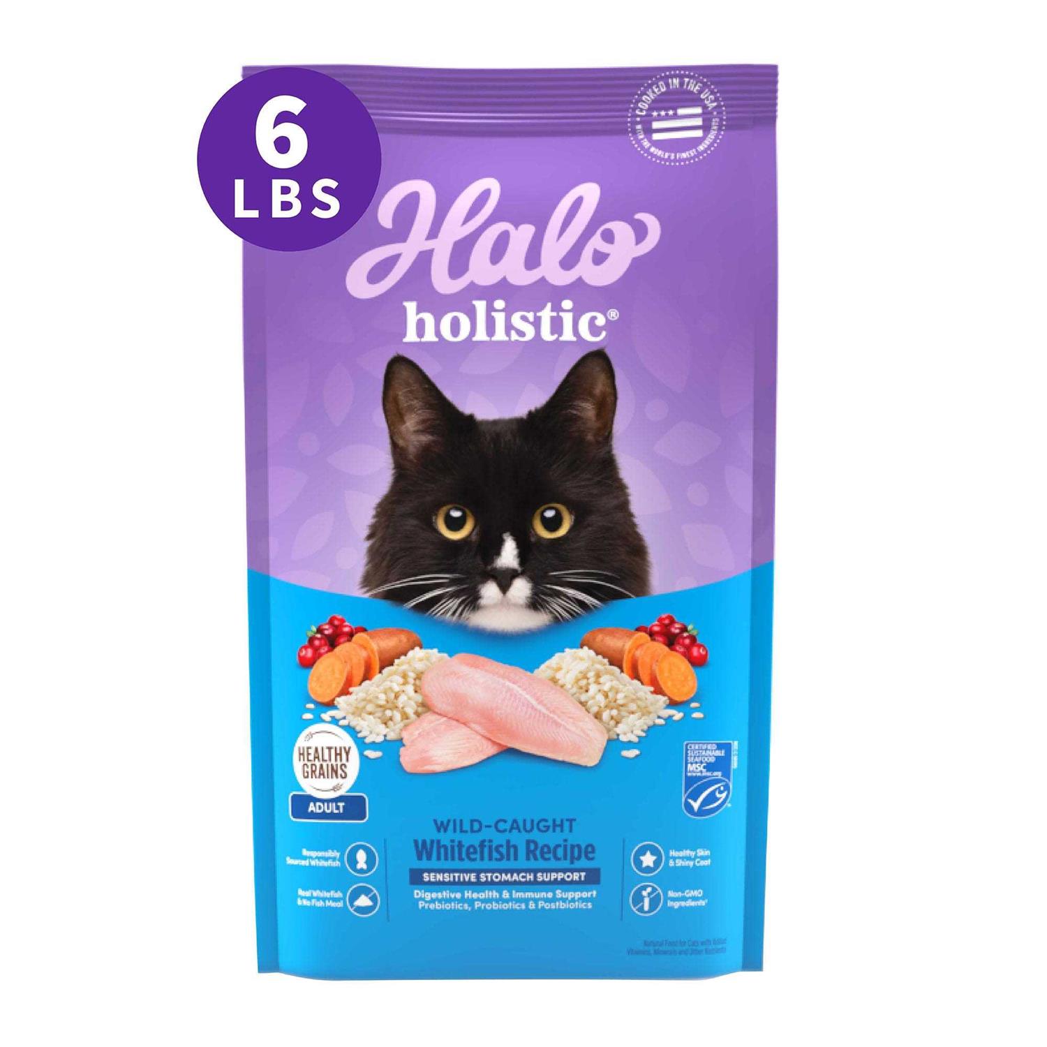 Halo Holistic Seafood Medley Sensitive Stomach Dry Cat Food - Pet Supplies online store