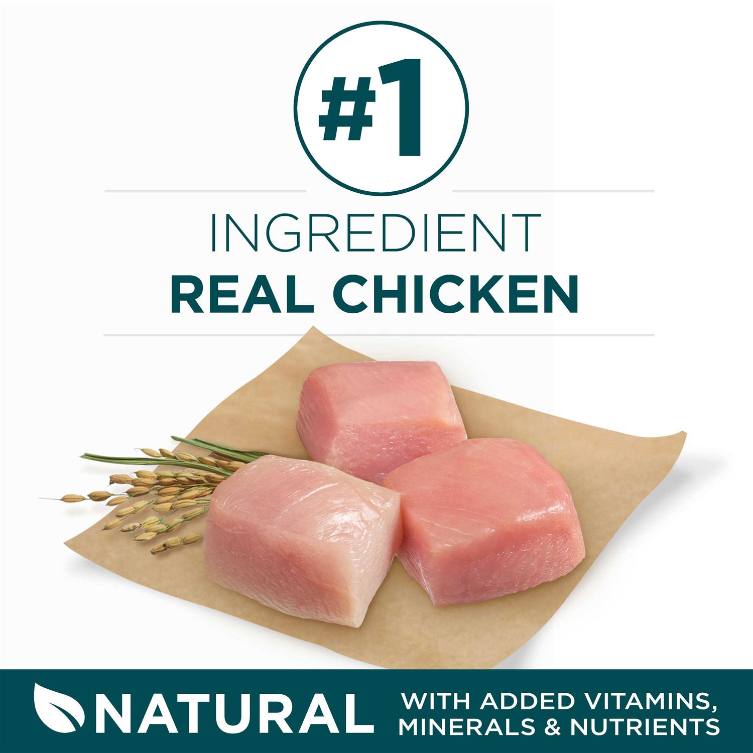 Purina ONE Large Breed Dry Puppy Food - Pet Supplies online store