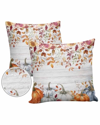 Outdoor Pillow Covers Waterproof, Fall Pumpkin Throw Pillowcase Decorative Cover, Farmhouse Autumn Botanical Wooden Garden Cushion Case Set of 2 for Sofa, Couch, Tent, Patio, 16