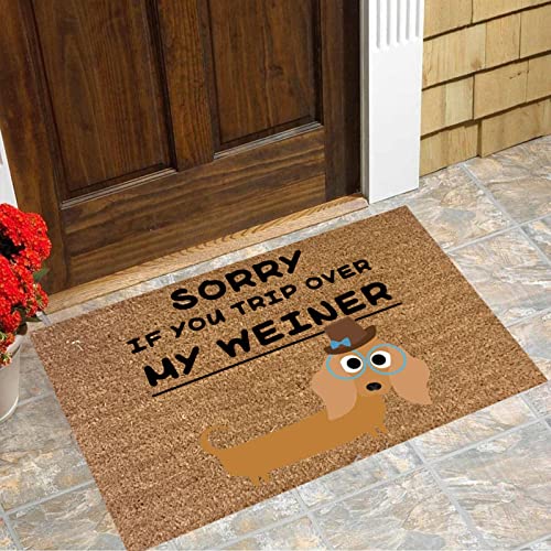 Front Door Mat All Weather Door Mats Outdoor Entry Rug Cute and Funny Dog Welcome Mat for Doorway Decorative Mat for Bedroom Living Room (1Pc) Runner Rug for Home Front or Back Entrance