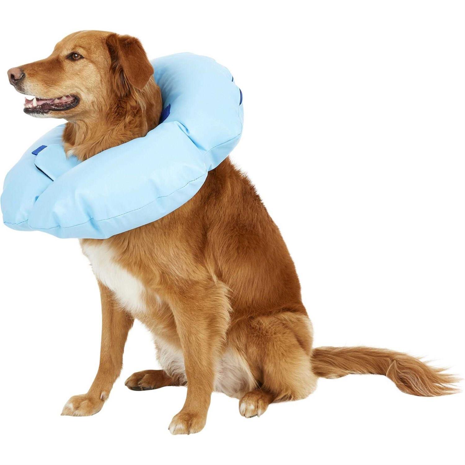 Dogswell Stay Rite Xtra Strong Inflatable Recovery Dog Collar - Pet Supplies online store