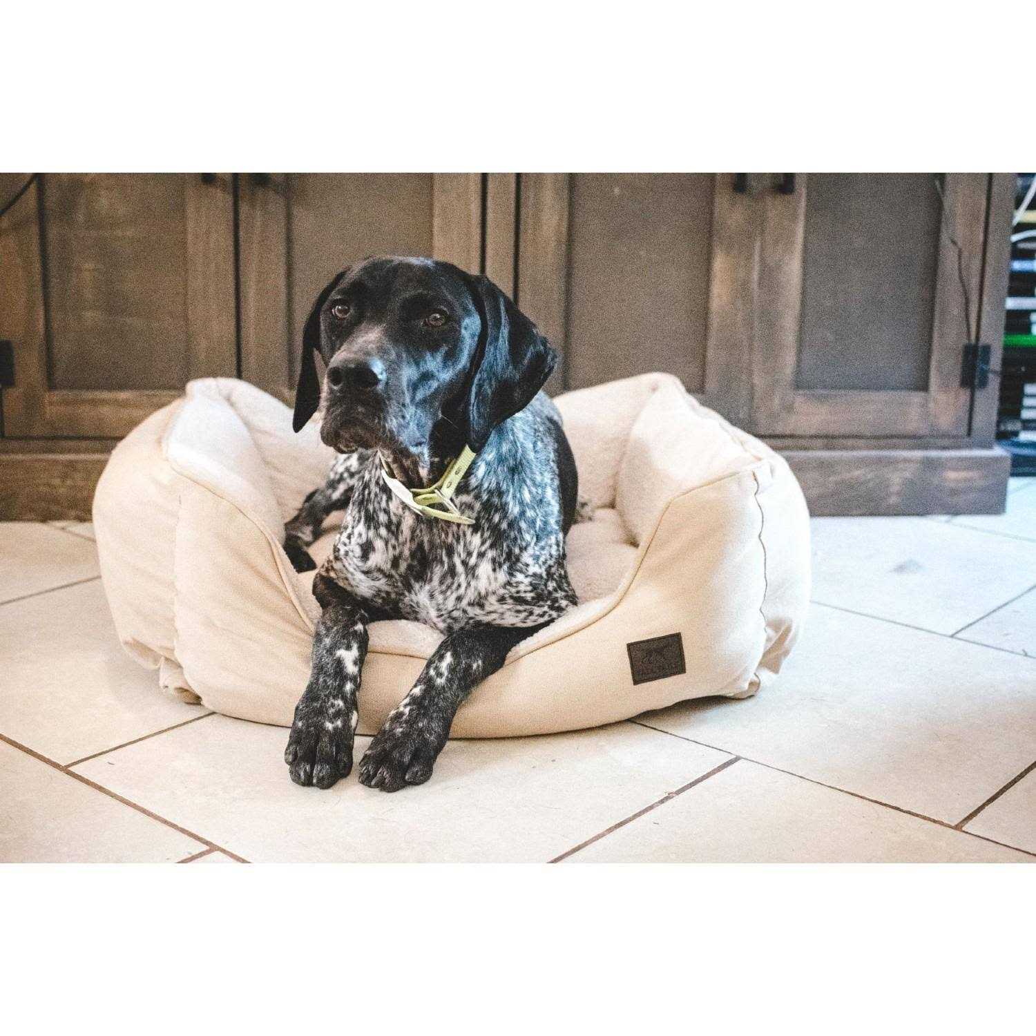 Tall Tails Dream Chaser Bolster Bed - Pet Supplies online store