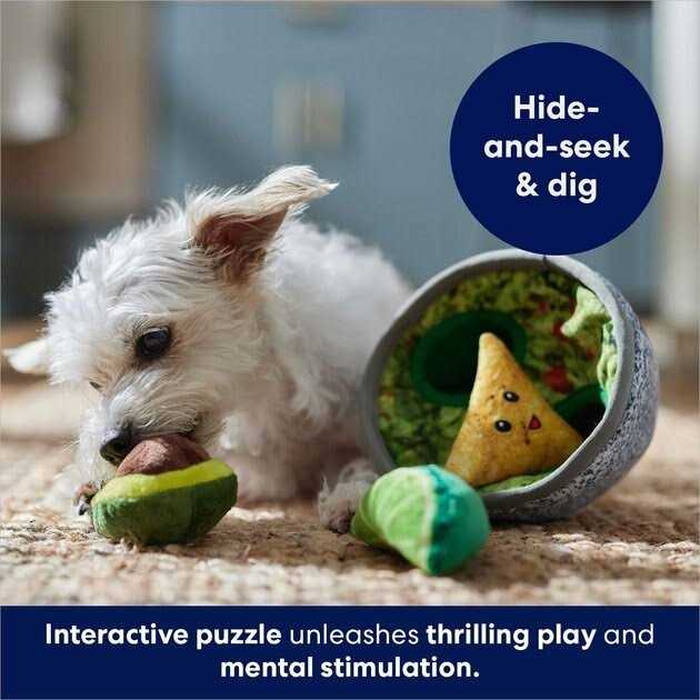 Frisco Guacamole Hide & Seek Puzzle Plush Squeaky Dog Toy - Pet Supplies online store