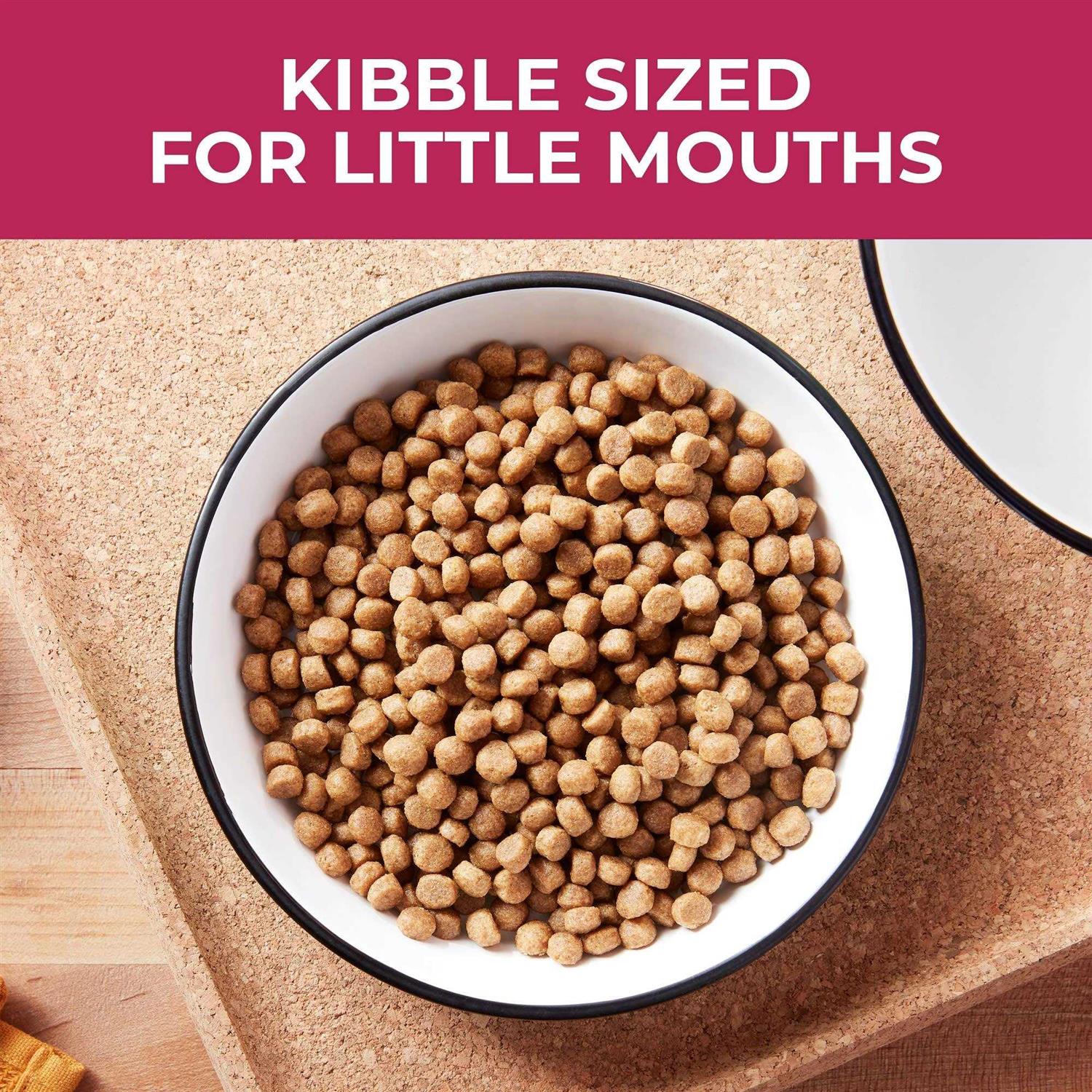 Nature's Recipe Recipe Small Bites Dry Dog Food - Pet Supplies online store