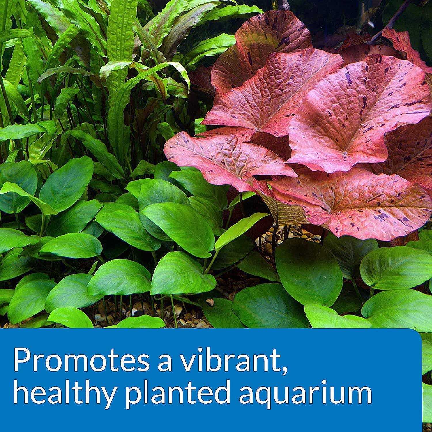 API CO2 Booster - Pet Supplies online store