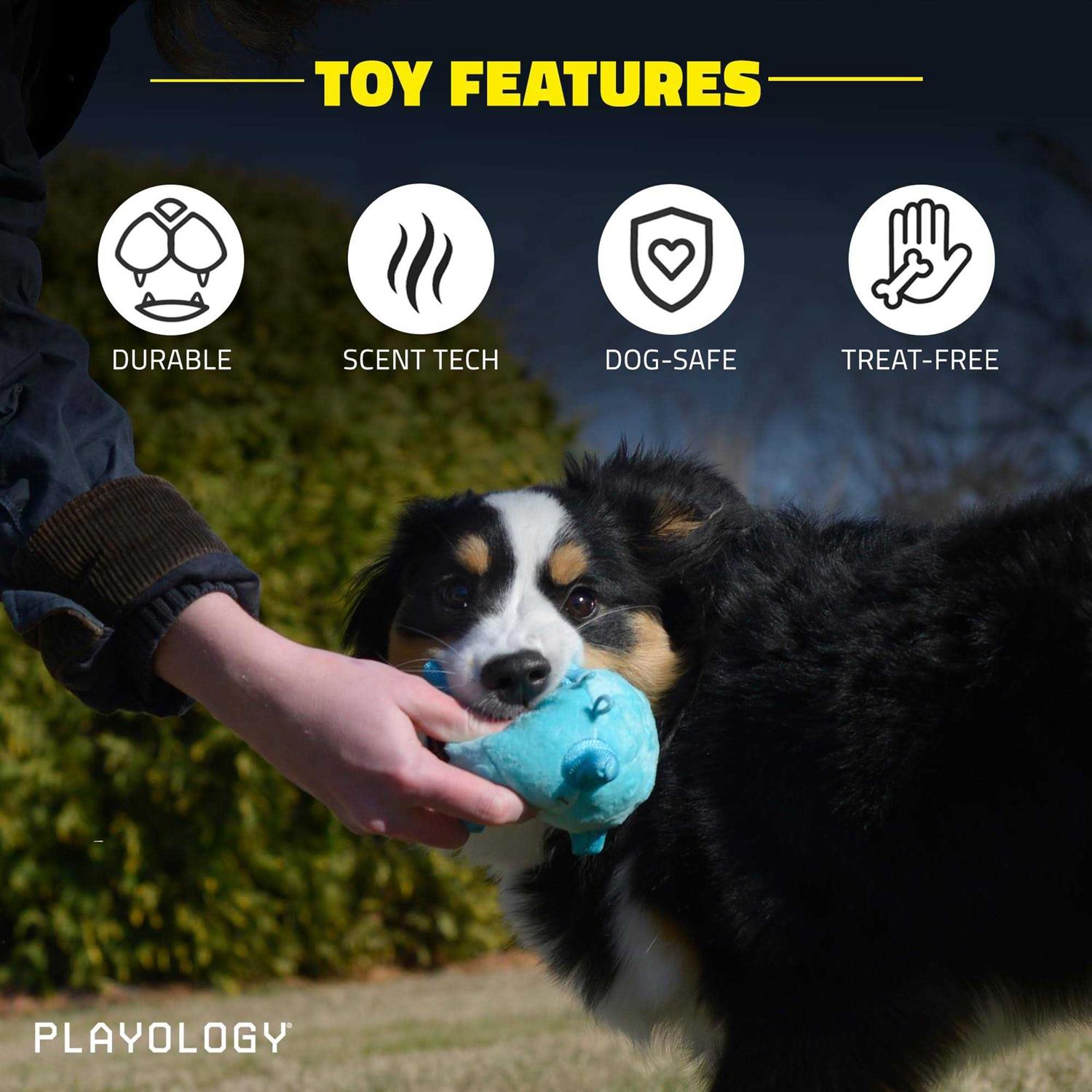 Playology Puppy Sensory Ball Dog Toy - Pet Supplies online store