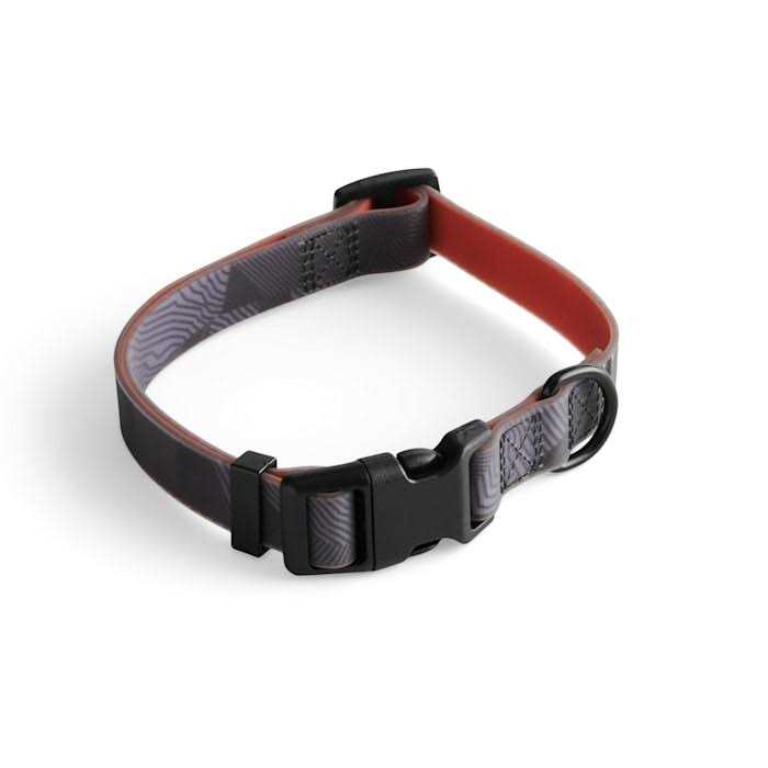 Backcountry x Petco The Dog Collar - Pet Supplies online store