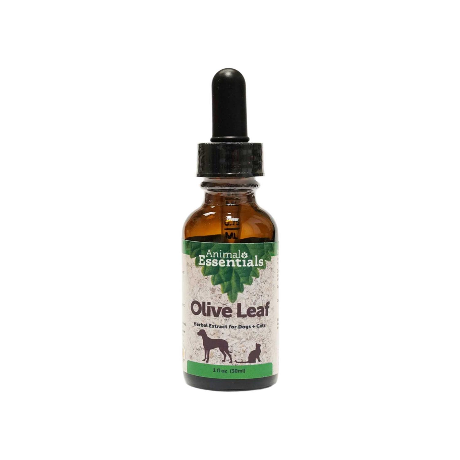 Animal Essentials Olive Leaf Herbal Extract Bottle - Pet Supplies online store