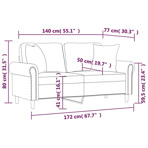 2-Seater Sofa, Lounge Sofa Ottoman Minimalist Sofa Sofa Chair Suitable for House Home Theater Apartment Den with Pillows&Cushions Dark Gray 55.1
