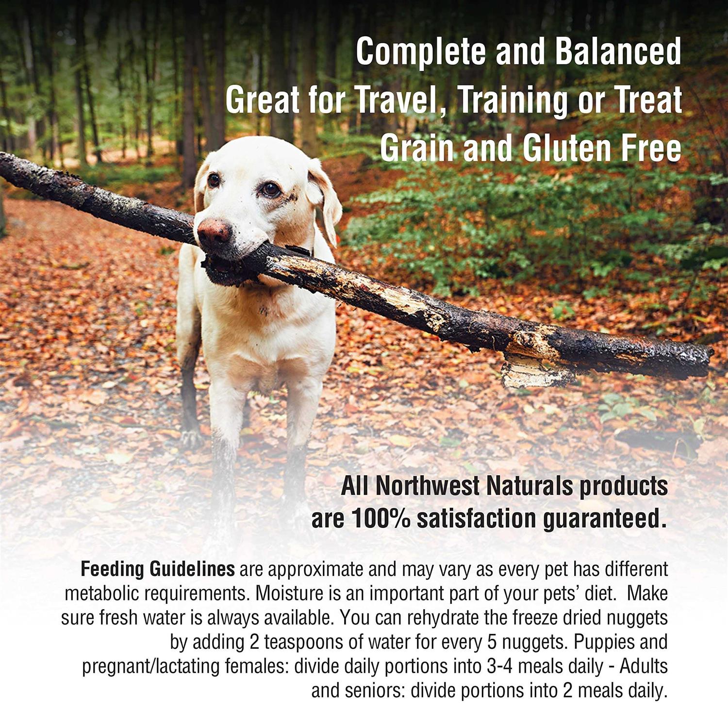 Northwest Naturals Freeze-Dried Nuggets Raw Dog Food - Pet Supplies online store