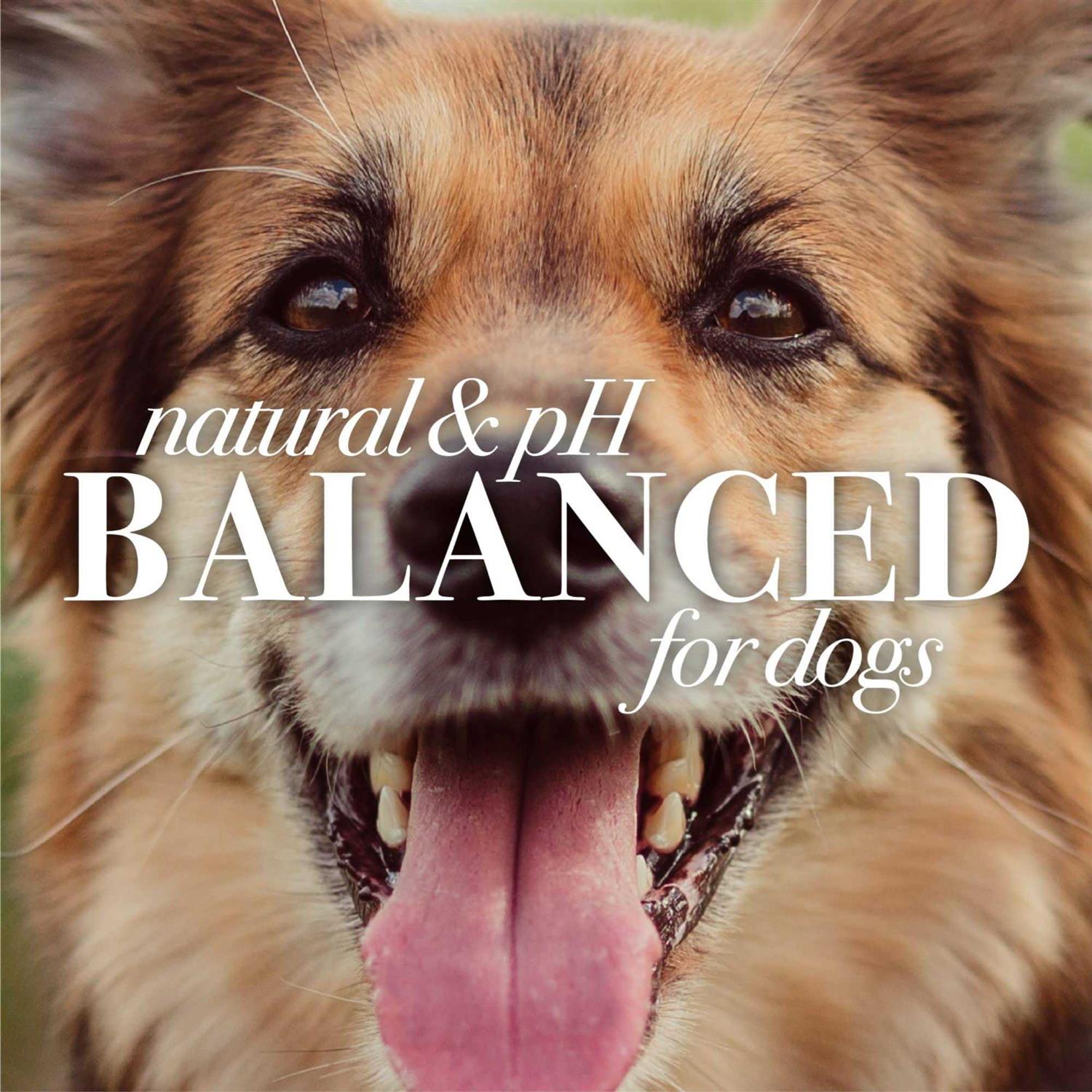 Burt's Bees Care Plus+ Hydrating Coconut Oil Shampoo - Pet Supplies online store