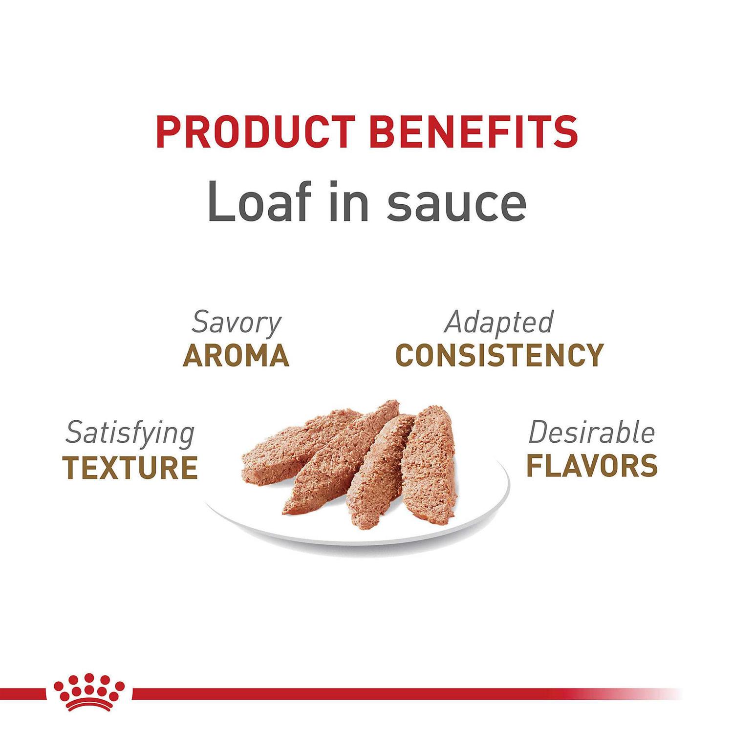 Royal Canin Feline Health Nutrition Aging 12+ Loaf in Sauce Canned Cat Food - Pet Supplies online store