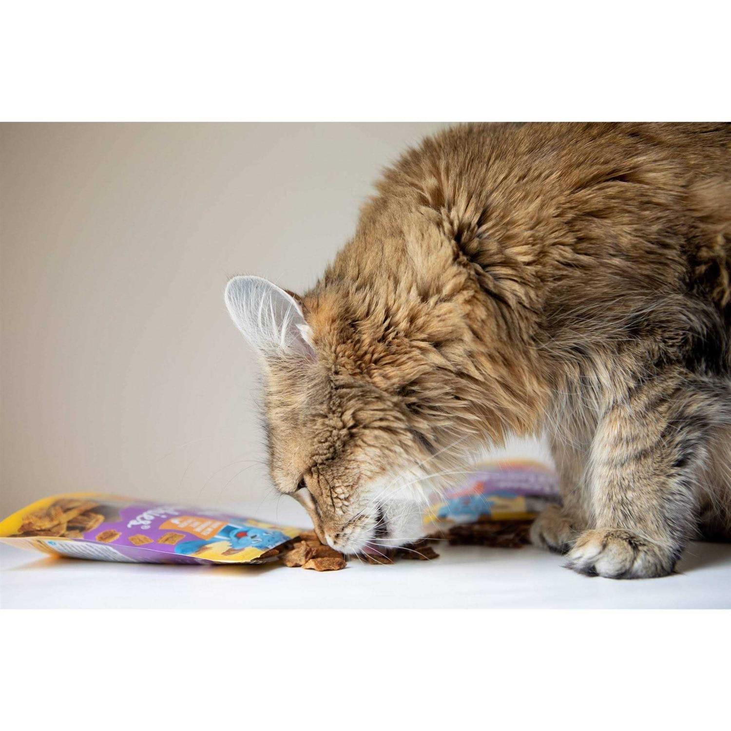 Blue Cat Bakery Meow Munchies Cats - Pet Supplies online store