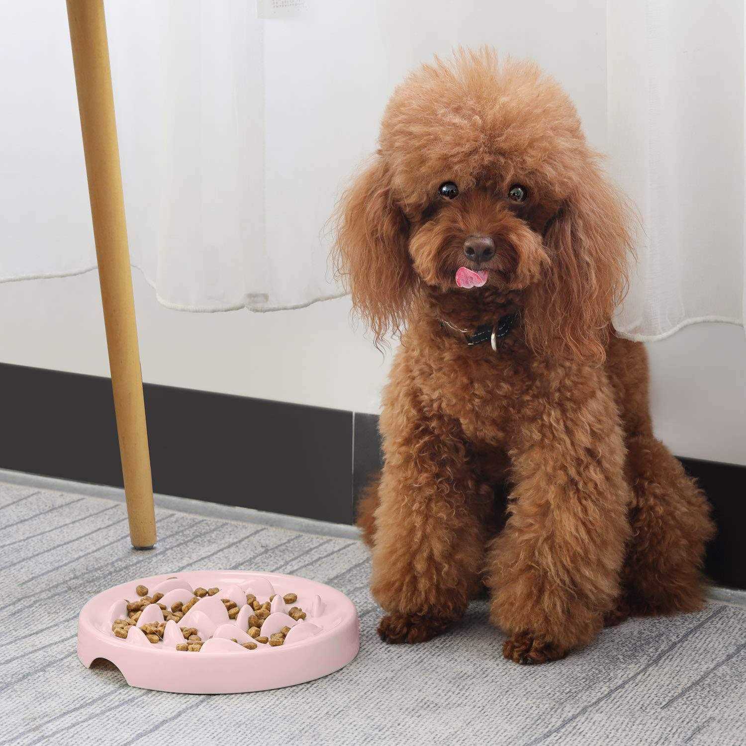 Slow Feeder Bowl for Cats and Small Dogs,Cilkus Fish Pool Design - Pet Supplies online store