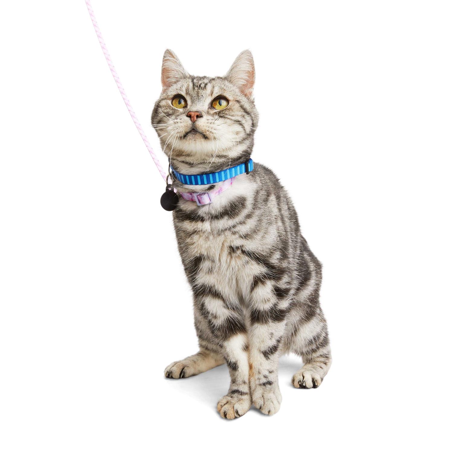 YOULY Kitten Harness & Lead - Pet Supplies online store