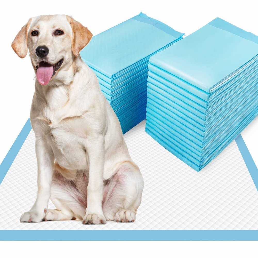 Dogcator Pads Puppy Pads - Pet Supplies online store