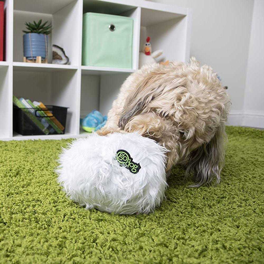 goDog Furballz Chew Guard Dog Toy - Pet Supplies online store