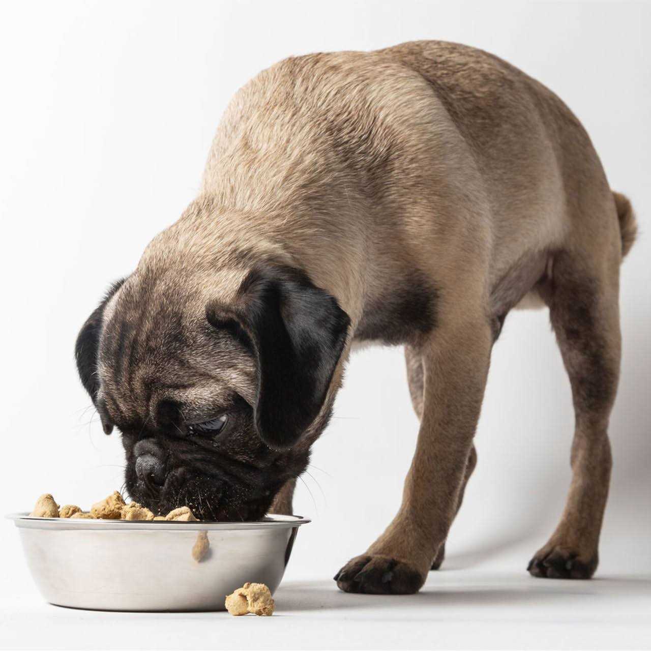 Dr Marty Nature's Blend Sensitivity Select Freeze Dried Dog Food - Pet Supplies online store