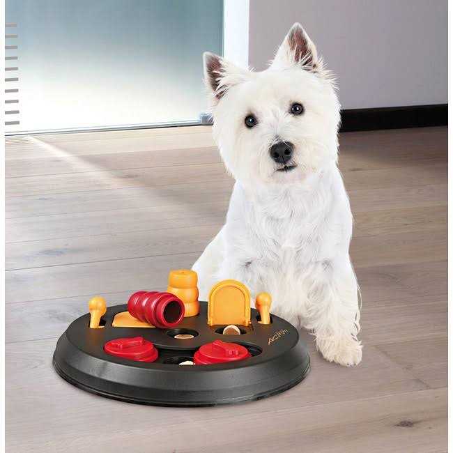 Trixie Flip Board Dog Game - Pet Supplies online store