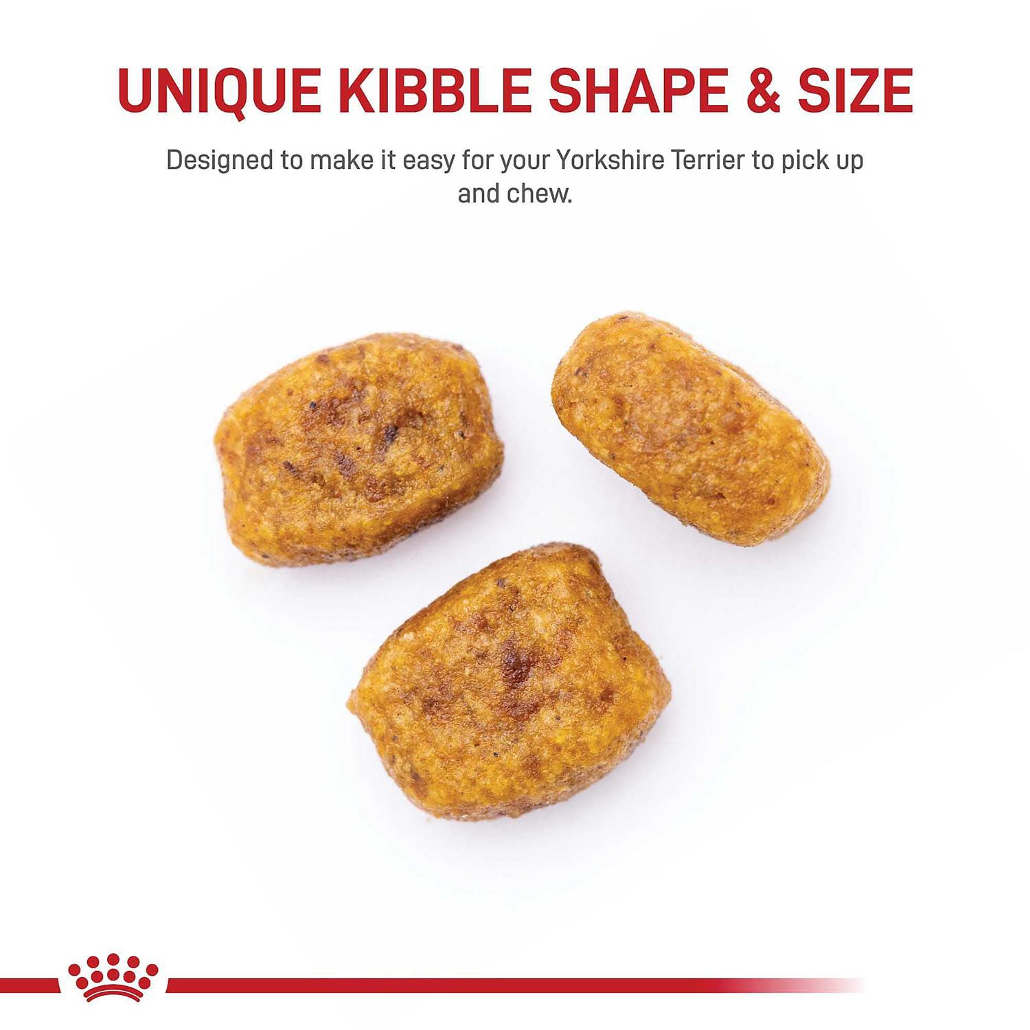 Royal Canin Adult Yorkshire Terrier Dry Dog Food - Pet Supplies online store