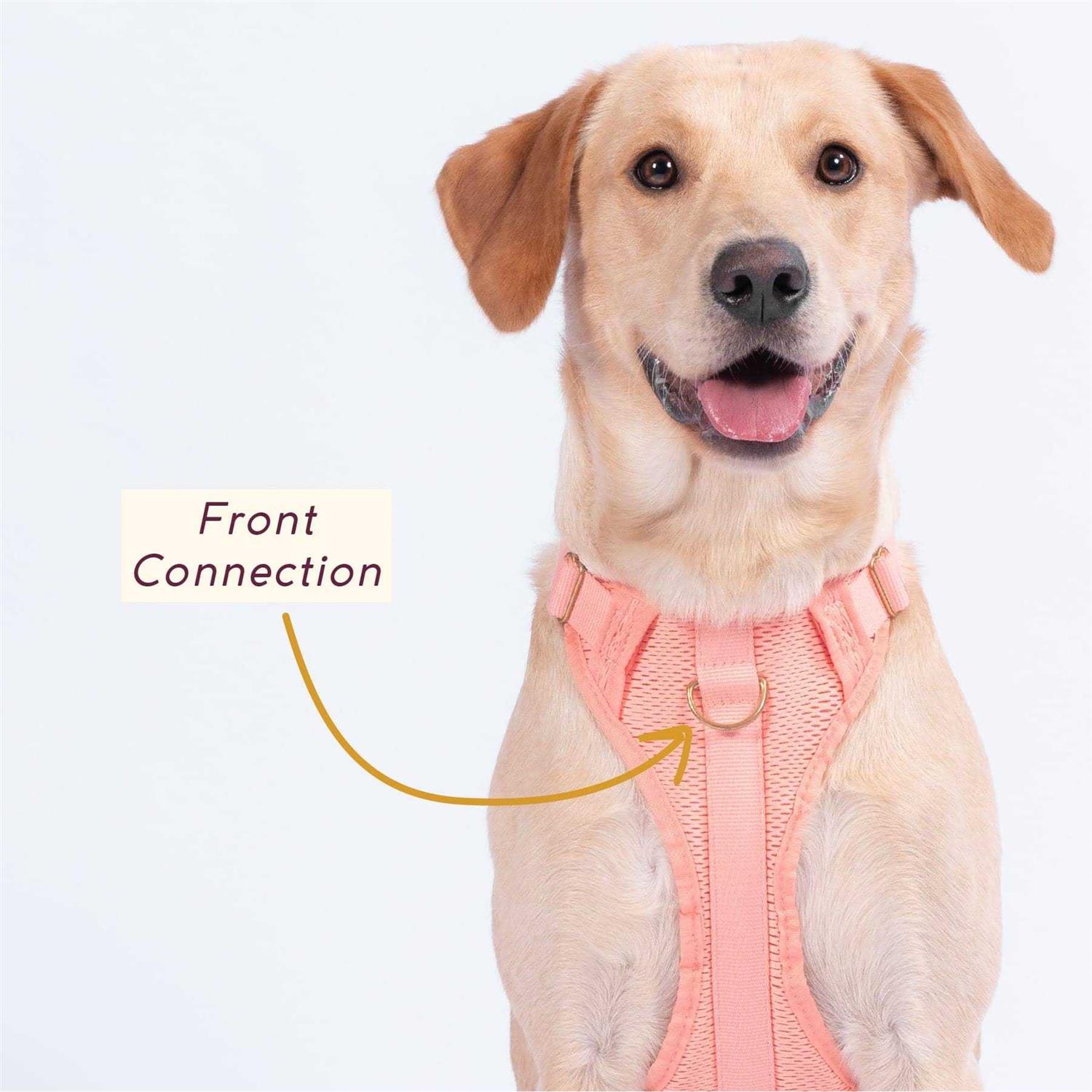 Awoo Huggie Harness - Pet Supplies online store