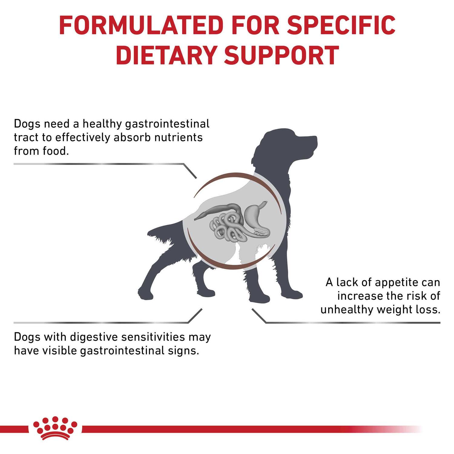 Royal Canin Veterinary Diet Canine Gastrointestinal Dry Dog Food - Pet Supplies online store