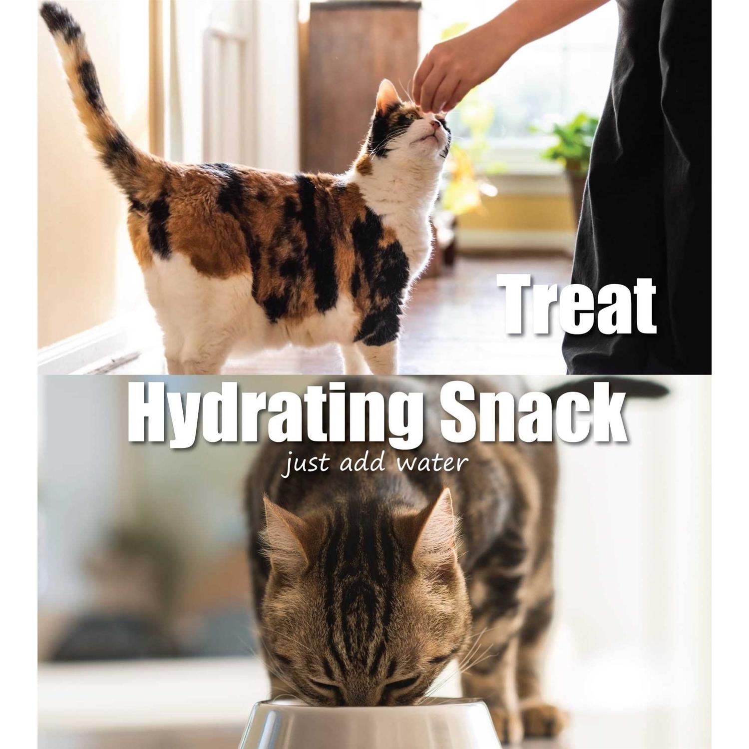 Whole Life Pet Just One Ingredient Salmon Cat Treats - Pet Supplies online store