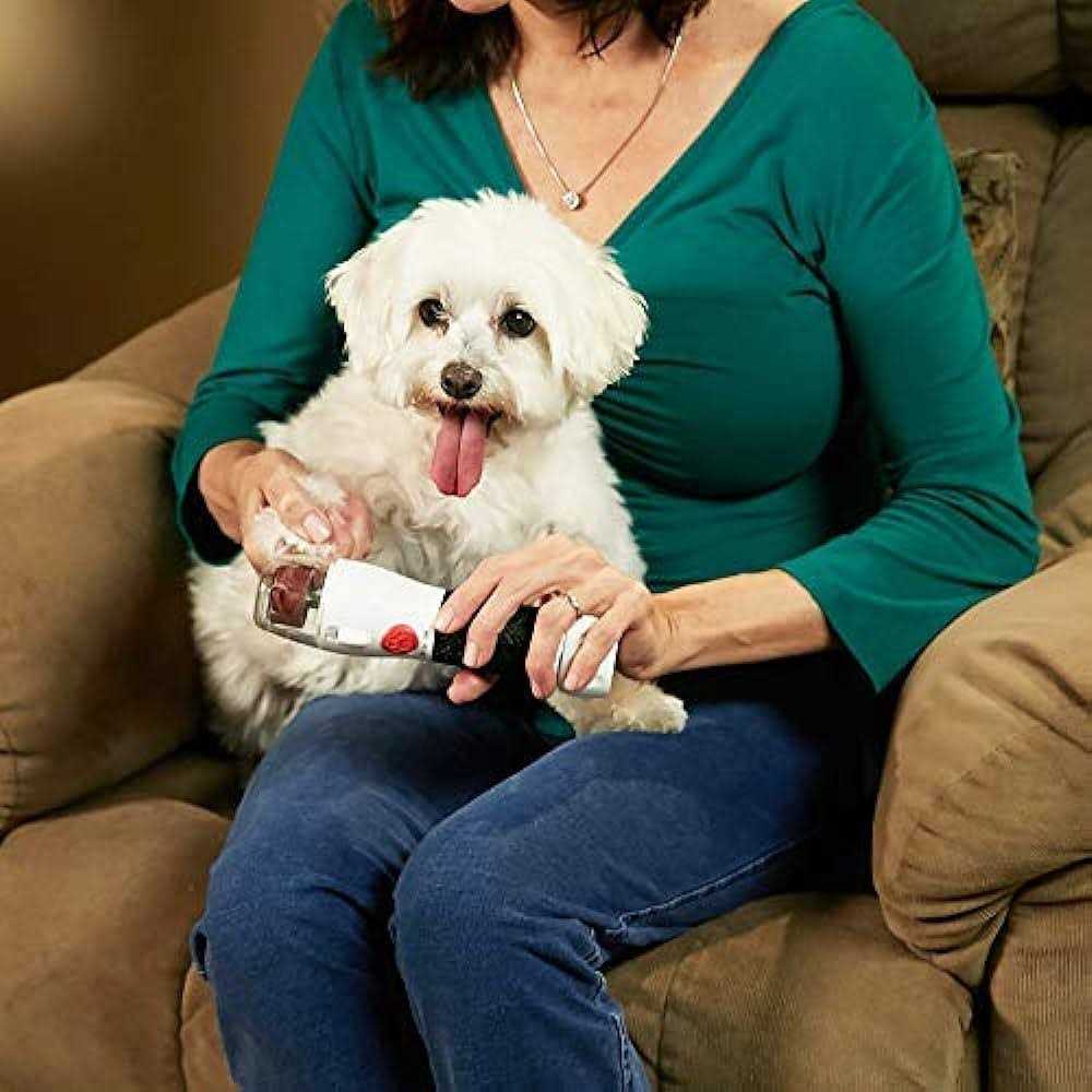 Bell+Howell PAWPERFECT Pet Nail Rotating File with 7000-14000 RPM's, Dog Nail Grinder Gentle and Painless Trimmer in 3 Modes with 3 Replacement - Pet Supplies online store