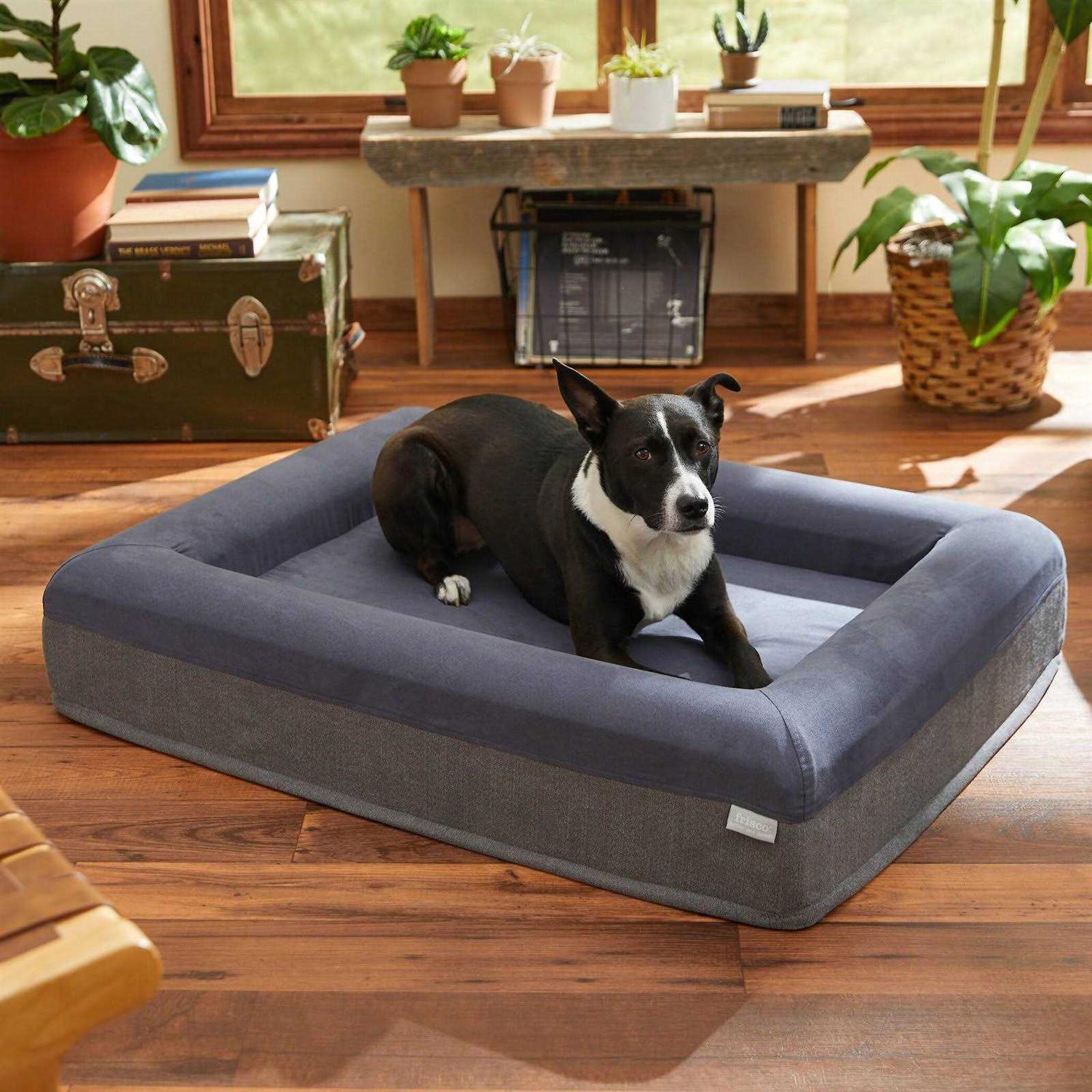 Frisco Orthopedic Rectangular Bolster Cat Dog Bed w/Removable COVER - Pet Supplies online store