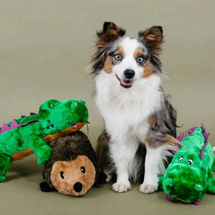 ZippyPaws Hedgehog Dog Toy - Pet Supplies online store