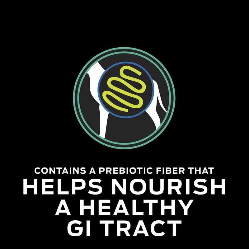 Purina Pro Plan Veterinary Diets EN Gastroenteric Formula Canned Dog Food - Pet Supplies online store