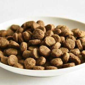 Go! Solutions Skin + Coat Care Salmon Recipe Dry Dog Food - Pet Supplies online store