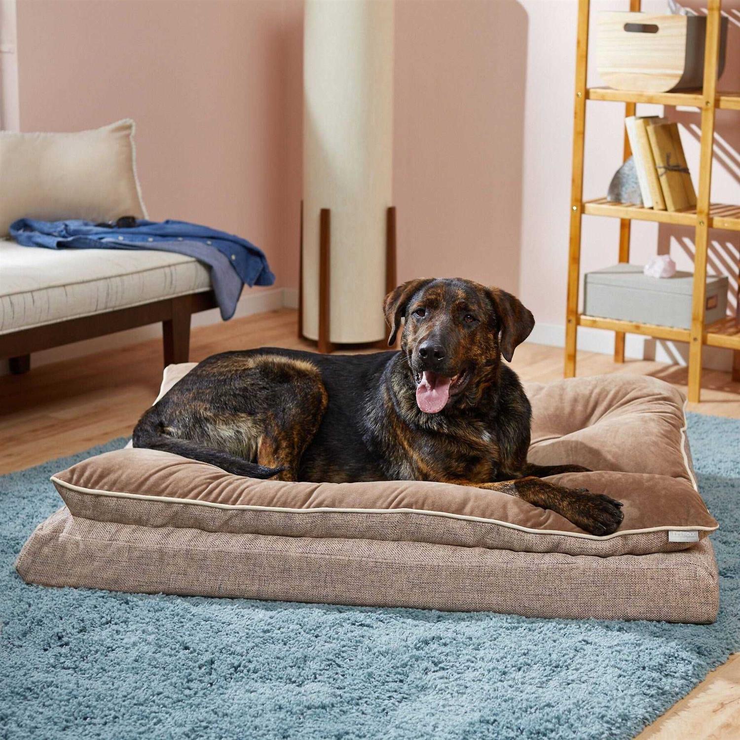 Frisco Plush Orthopedic Pillowtop Dog Bed w/Removable COVER - Pet Supplies online store