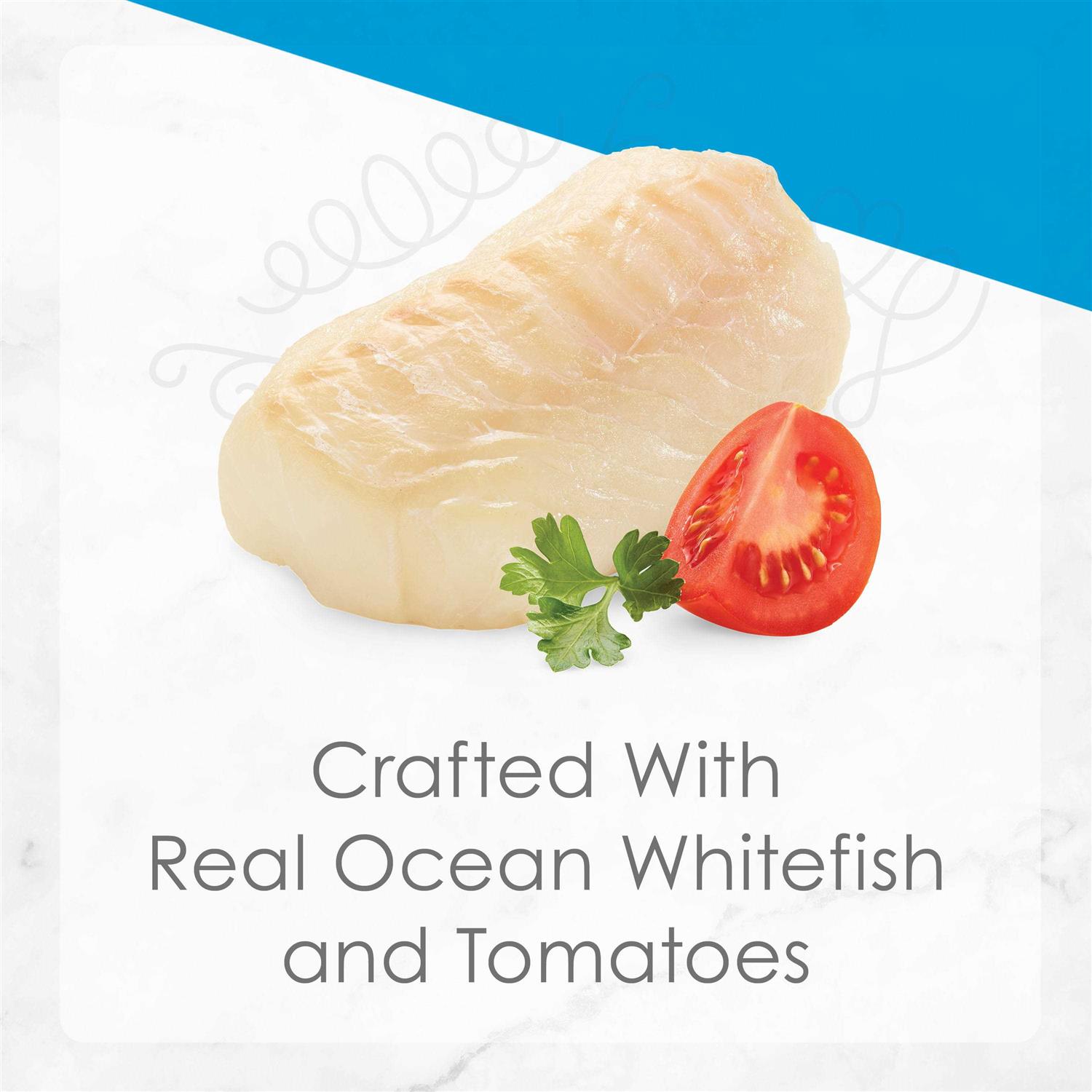 Fancy Feast Petites Ocean Whitefish Entree with Tomato in Gravy Wet Cat Food - Pet Supplies online store