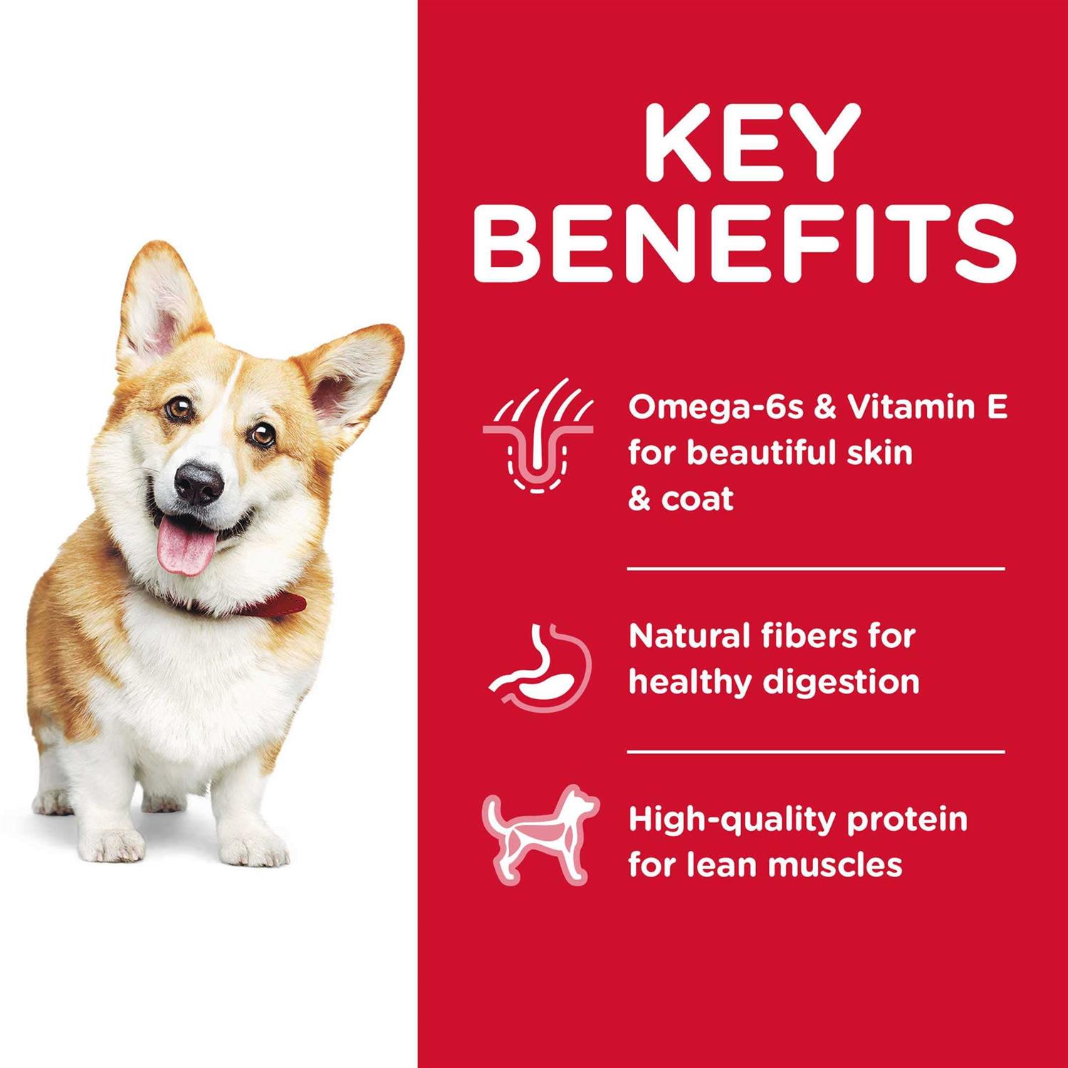 Science Diet Dog Food Recipe - Pet Supplies online store