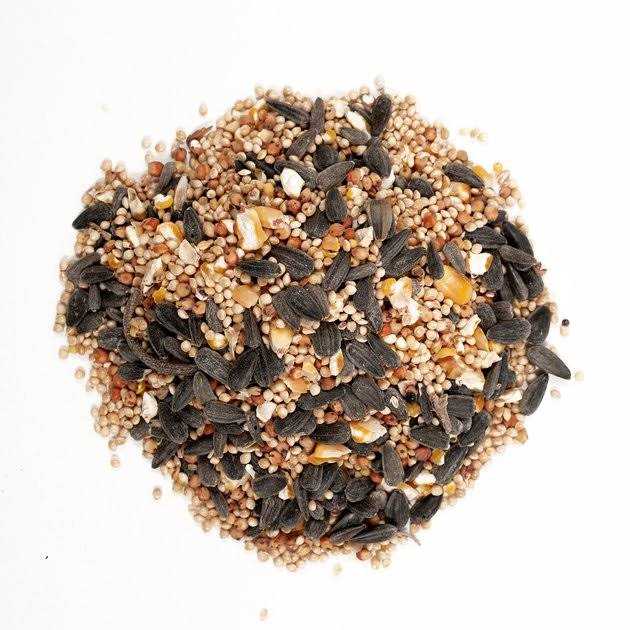 Wagner's Classic Wild Bird Food - Pet Supplies online store