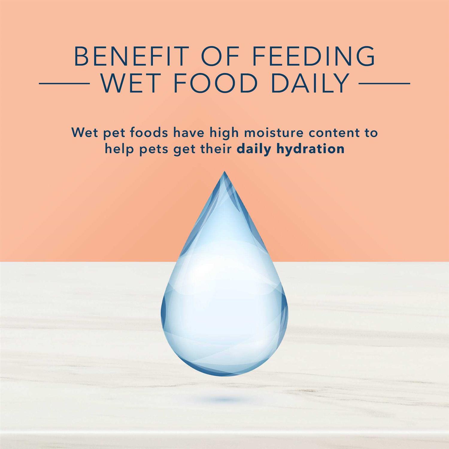 Blue Buffalo True Solutions Fit & Healthy Natural Weight Control Adult Wet Cat Food - Pet Supplies online store