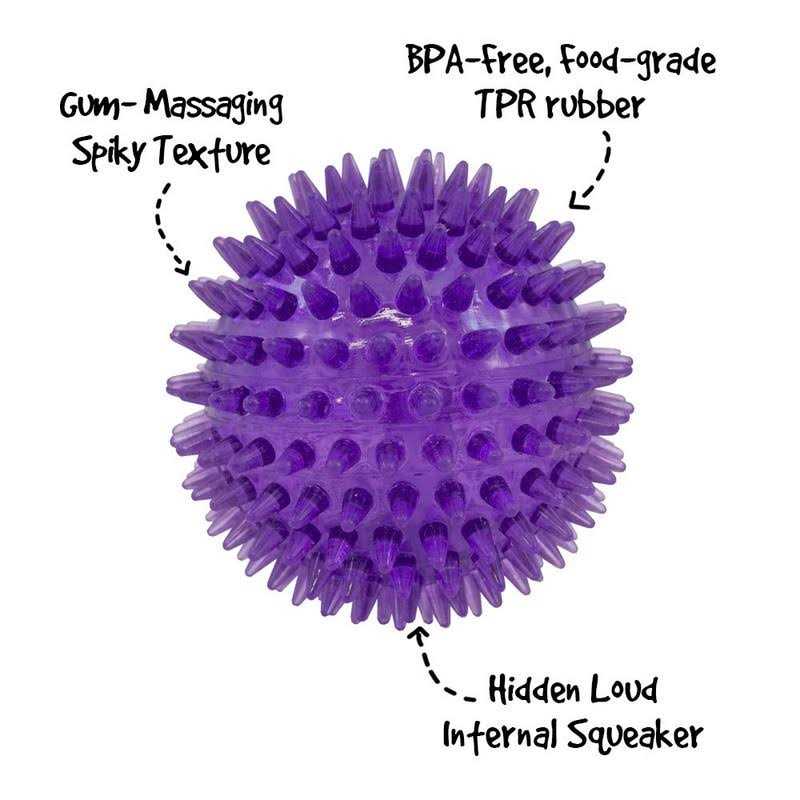 Gnawsome Squeaker Ball Dog Toy - Pet Supplies online store