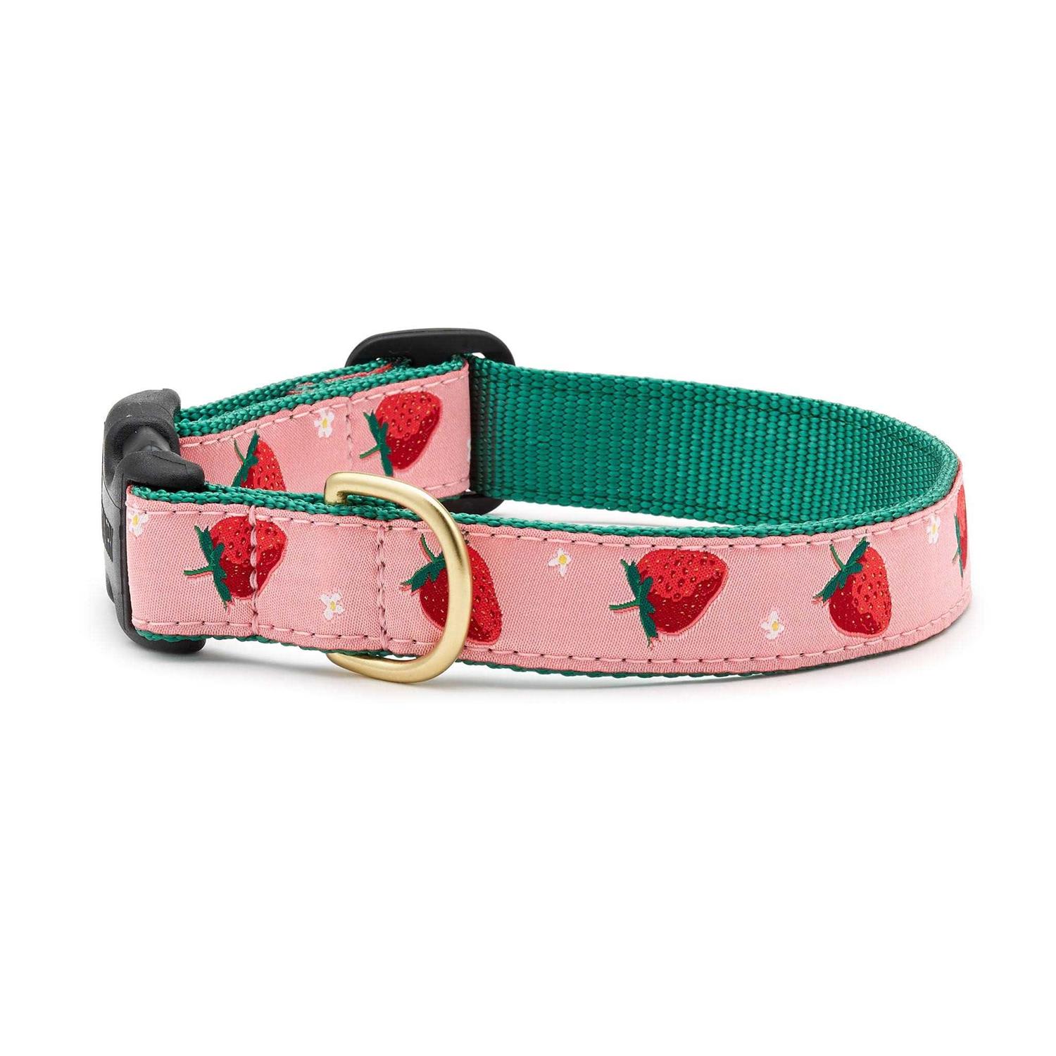 Up Country Strawberry Fields Dog Collar - Pet Supplies online store